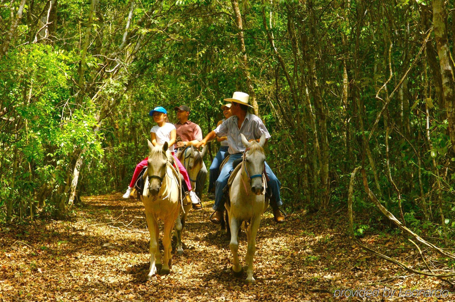 Windy Hill Resort San Ignacio Exterior foto